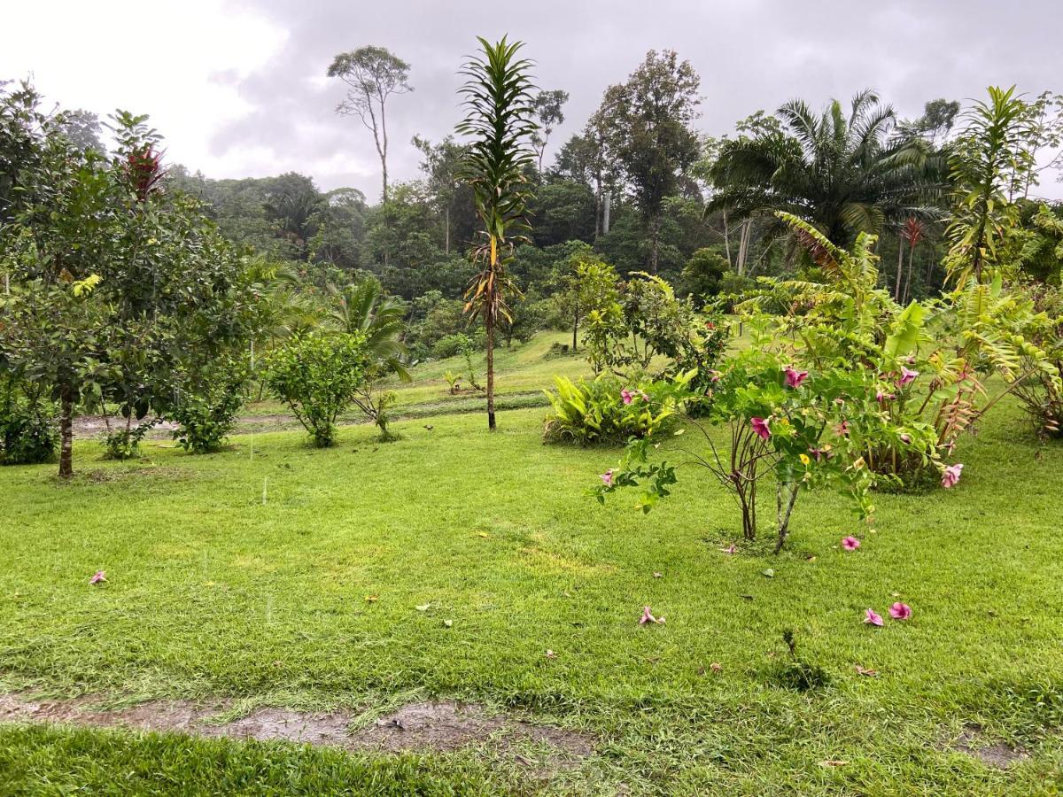 Casa Danta Villa Drake Bay Luaran gambar