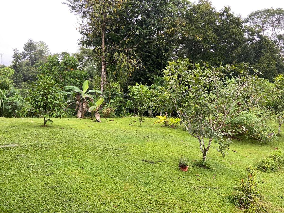 Casa Danta Villa Drake Bay Luaran gambar