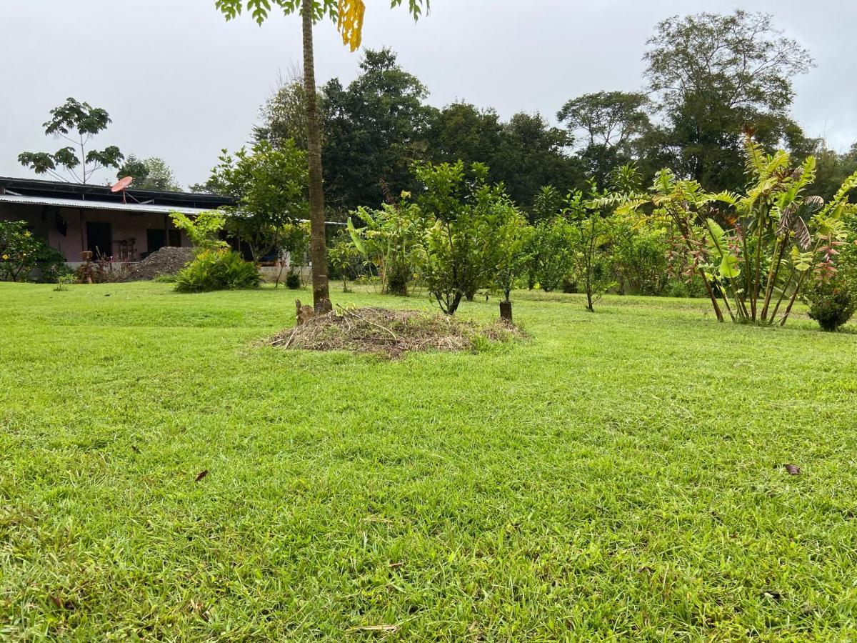 Casa Danta Villa Drake Bay Luaran gambar
